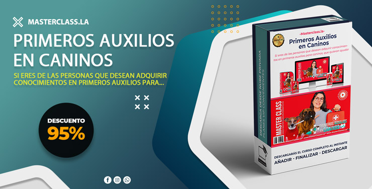 Primeros Auxilios en Caninos - Masterclass.la